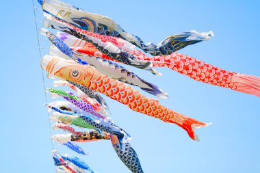 Japonya 'da sazan flaması