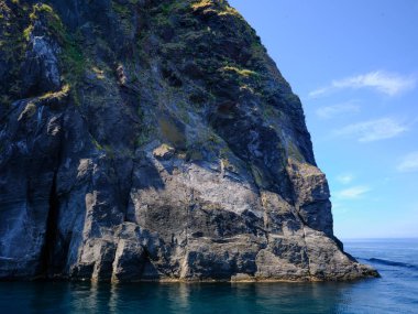 Horizon gemiden görüldü.