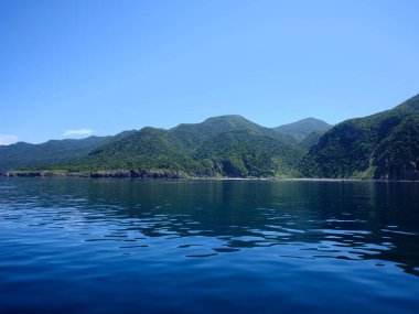 Horizon gemiden görüldü.