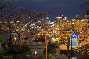 night view in hakodate hokkaido clipart