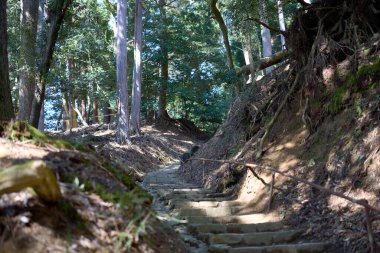 Kyoto 'daki Kurama Dağı Yolu