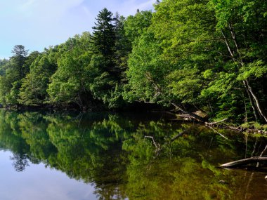 Hokkaido Japonya 'da bir göl.