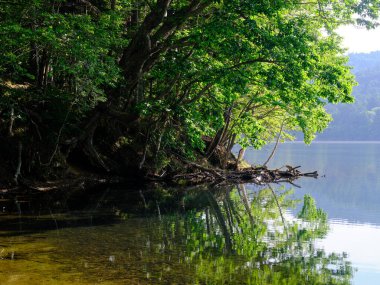 Hokkaido Japonya 'da bir göl.