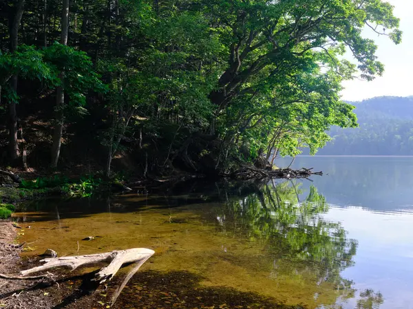 Hokkaido Japonya 'da bir göl.