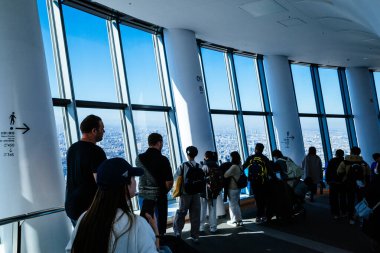 Tokyo gökyüzü ağacı ve şehir