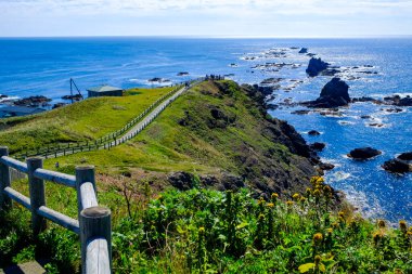 Japonya Hokkaido 'daki Cape erimo.