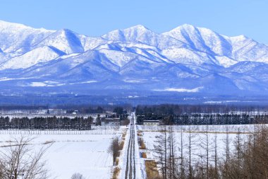 road in winter hokkaido Japan clipart