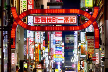 Tokyo 'da Kabukicho gece görüşü