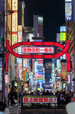 Tokyo 'da Kabukicho gece görüşü