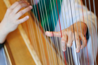 Arp çalan birinin elleri.