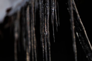 beautiful icicle in winter hokkaido