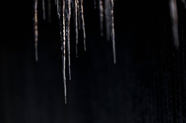beautiful icicle in winter hokkaido