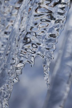 beautiful icicle in winter hokkaido