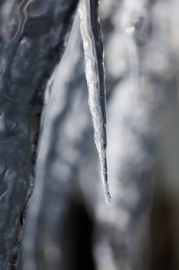 beautiful icicle in winter hokkaido