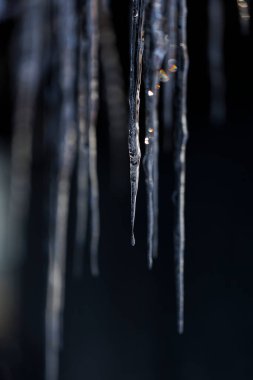 beautiful icicle in winter hokkaido