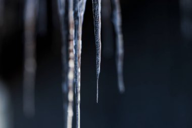 beautiful icicle in winter hokkaido