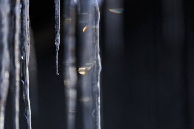 beautiful icicle in winter hokkaido