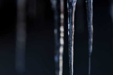 beautiful icicle in winter hokkaido