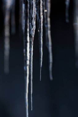beautiful icicle in winter hokkaido