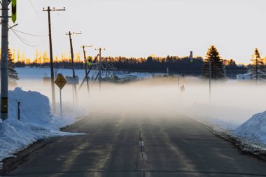 Yol ve soğuk sis Kış sabahı