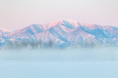 landscape in winter hokkadio Japan clipart