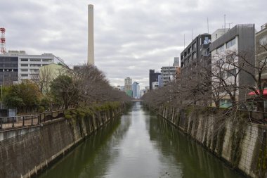 Tokyo 'daki meguro nehri.