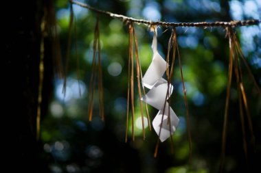 Japon tapınağında beyaz fenerler.