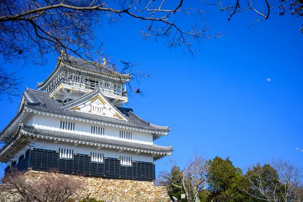 Gifu kalesi ve mavi gökyüzü