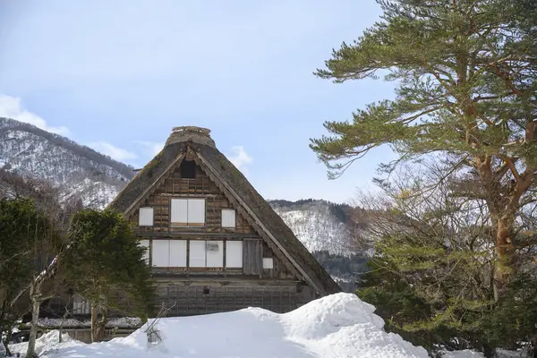 Shirakawago, Japonya kışı.