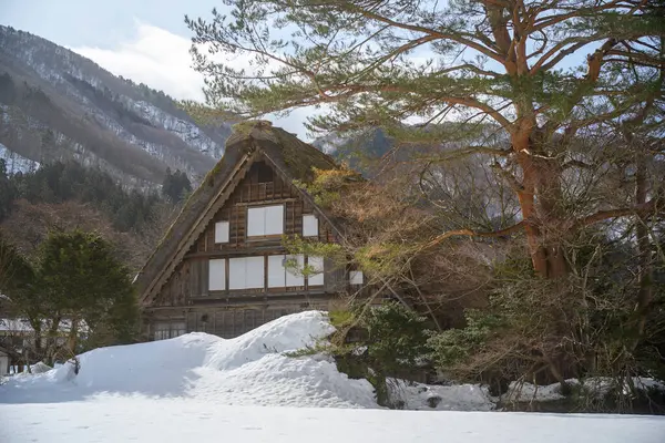 Shirakawago, Japonya kışı.