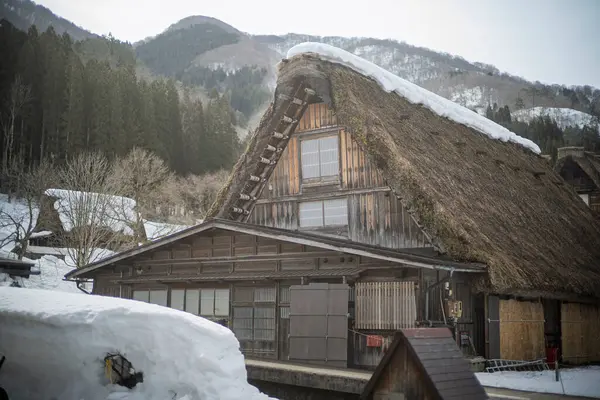 Shirakawago, Japonya kışı.