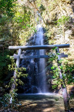 Japonya 'da su ve torii düşer.