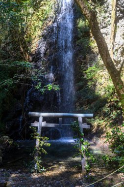 Japonya 'da su ve torii düşer.