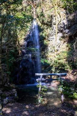Japonya 'da su ve torii düşer.