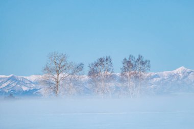 Hokkaido 'da soğuk sis ve dağ sıraları