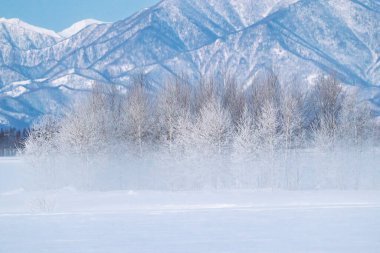Hokkaido 'da soğuk sis ve dağ sıraları