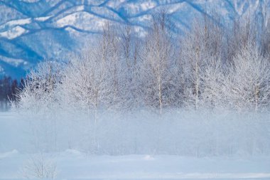 Hokkaido 'da soğuk sis ve dağ sıraları