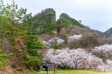 Sado adasında Warito yok.