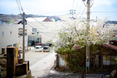 Japonya 'nın Sado Adası' ndaki kasaba manzarası