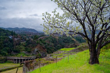 Sado adasındaki Kitazawa Yüzme Tesisi