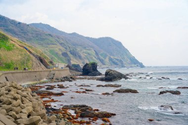 Hokkaido Japonya 'da shirakami pelerini