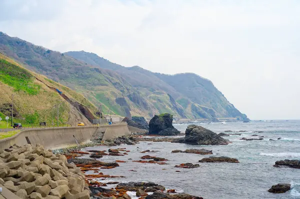 Hokkaido Japonya 'da shirakami pelerini