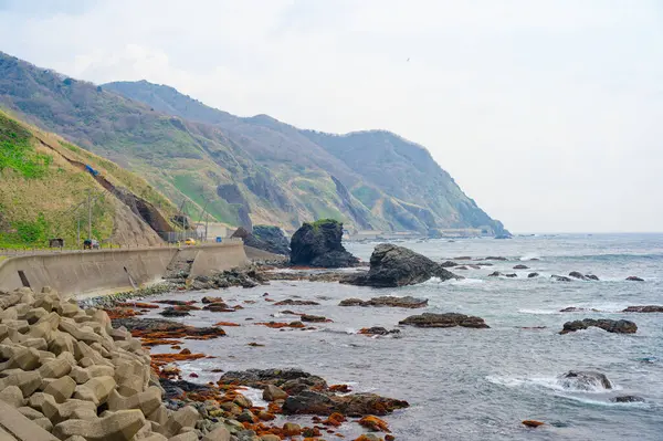 Hokkaido Japonya 'da shirakami pelerini