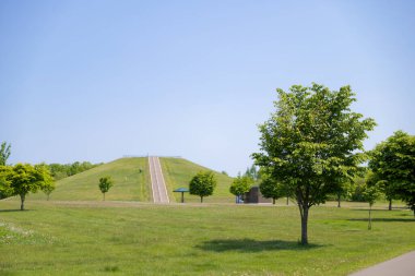 Güzel taze yeşillikleri olan bir park.