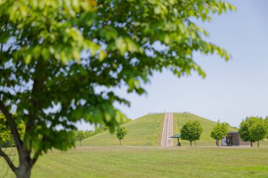 Güzel taze yeşillikleri olan bir park.