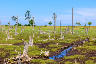 Hokkaido 'daki sinkunitai manzarası