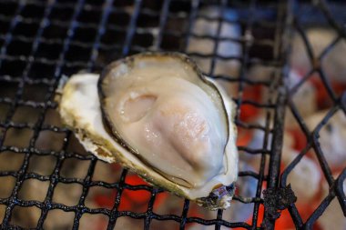 Japonya 'da kömür ızgara istiridye.