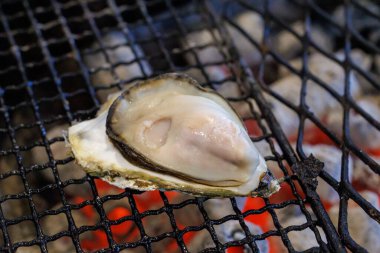 Japonya 'da kömür ızgara istiridye.