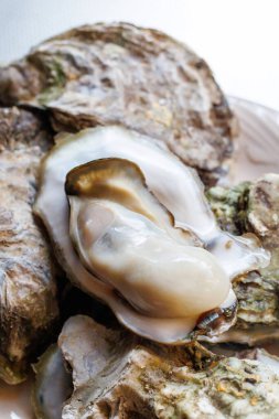 Kabuklarında istiridye pişirdiler.