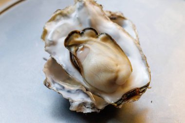 Kabuklarında istiridye pişirdiler.